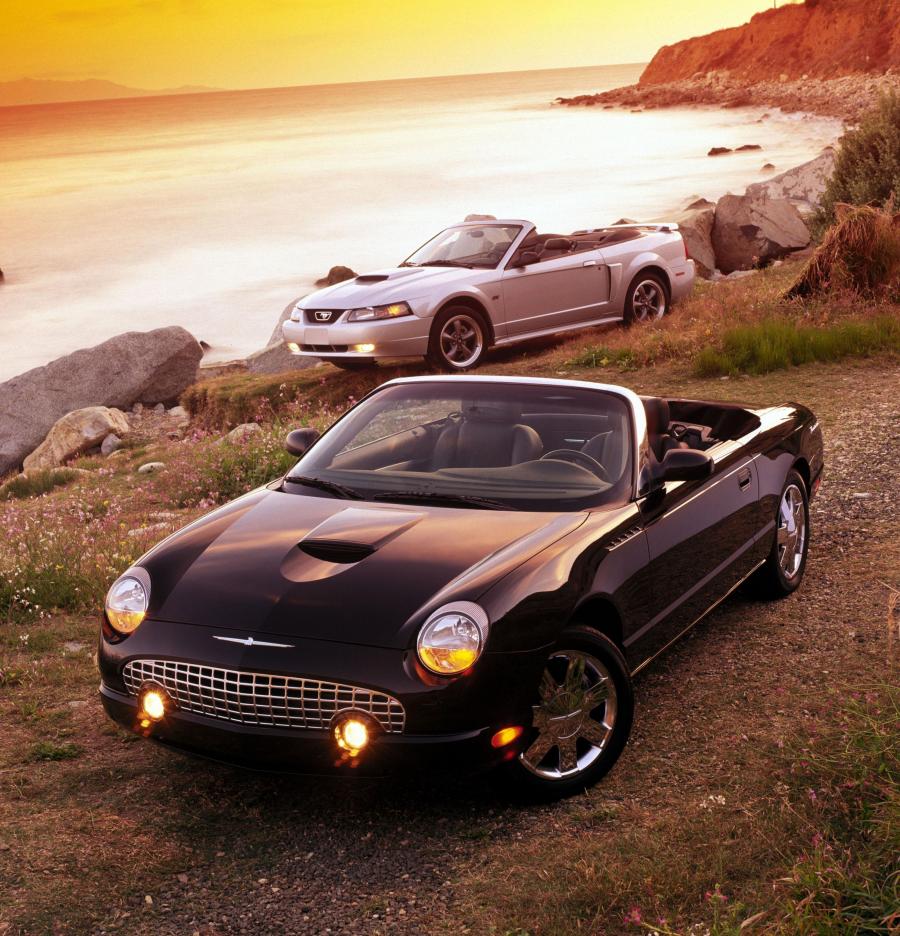  Ford Thunderbird 2002 года  (фото 9 из 161)